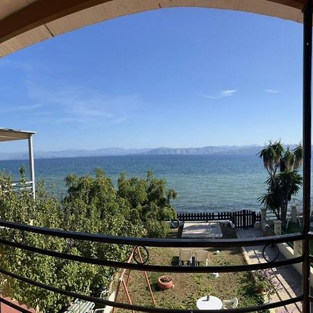 Evgenios Studios Kavos Luaran gambar