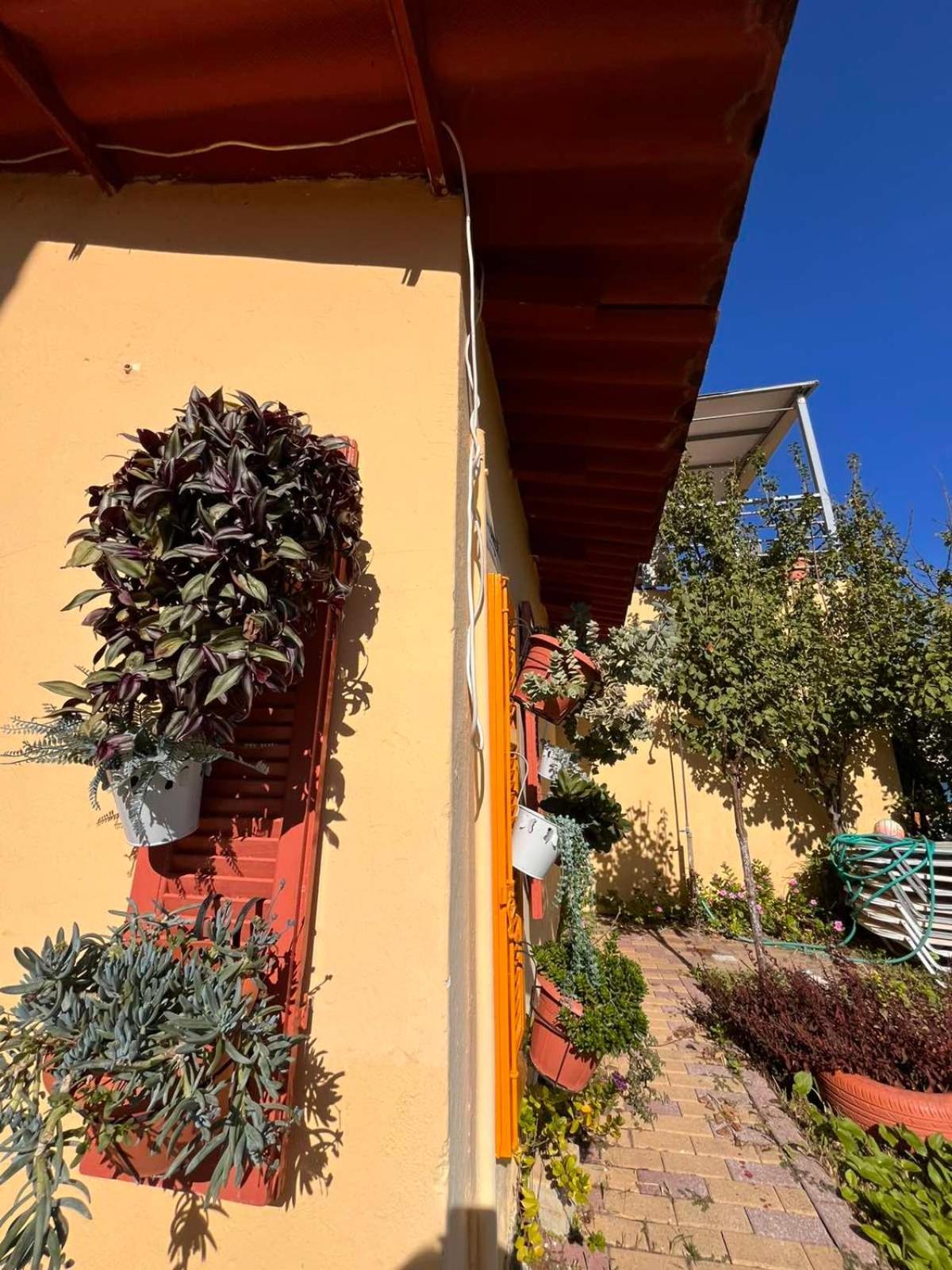 Evgenios Studios Kavos Luaran gambar