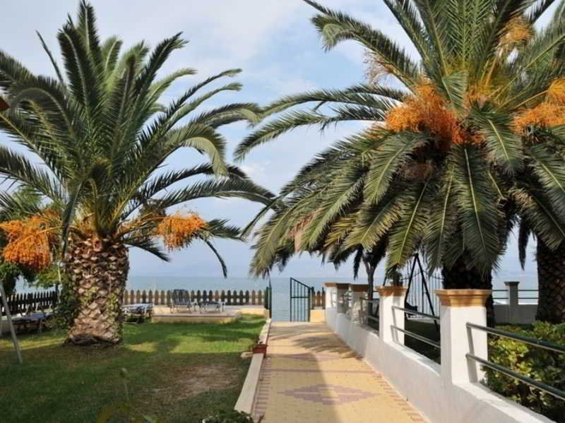 Evgenios Studios Kavos Luaran gambar